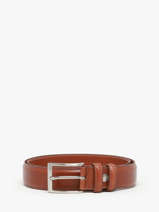 Riem Etrier Bruin bride 222543