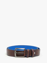 Riem Etrier Bruin bride EBRI708C