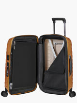 Uitbreidbare Handbagage Samsonite Goud proxis 140087-vue-porte