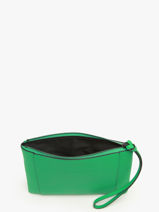 Longchamp Longchamp 3d Pochette/trousse Groen-vue-porte