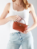 Longchamp Le pliage green Clutch Bruin-vue-porte