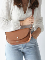 Cross Body Tas Bao Leder Lancaster Bruin bao 49-vue-porte