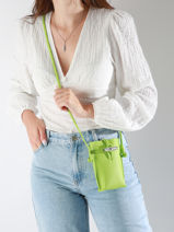Longchamp Le roseau Etui ipod/cd Groen-vue-porte
