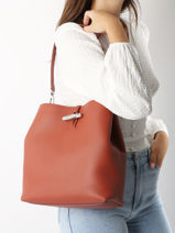 Longchamp Le roseau Schoudertas Bruin-vue-porte