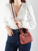 Longchamp Le roseau Cross bodytas Bruin-vue-porte