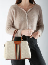 Handtas Cr Miniprix Bruin cr 8-vue-porte