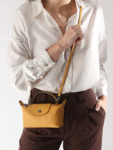 Longchamp Le pliage xtra Clutch Geel-vue-porte