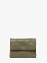 Portefeuille Biba Groen wallet TOT1L