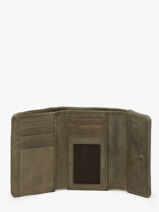 Portefeuille Leder Biba Groen wallet TOT1L-vue-porte