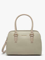 Handtassen Alpes David jones Beige alpes CM6827H