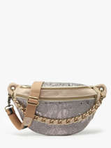 Heuptasje Mila louise Zilver vi 23689MVI