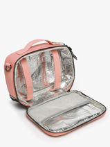 Lunchtas 1 Compartiment Cameleon Roze vintage fantasy BL24-vue-porte