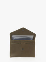 Paspoorthouder Oil Leder Etrier Groen oil EOIL054-vue-porte