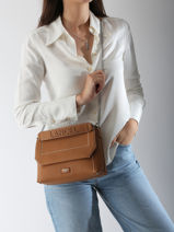 Cross Body Tas Ninon Leder Lancel Bruin ninon A13782-vue-porte