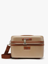 Beauty Case Snowball Goud travel A52335