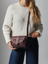 Cross Body Tas Heritage Leder Biba Bruin heritage KAY1L-vue-porte