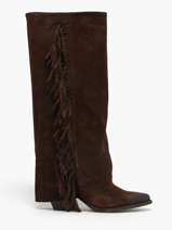 Laarzen Met Hak Uit Leder The icona Bruin women TX565