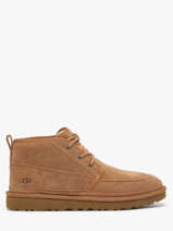 Enkellaarzen Uit Leder Ugg Bruin men 1121645