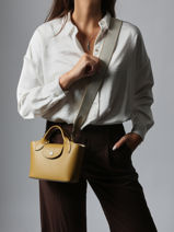 Longchamp Epure timeless Cross bodytas Geel-vue-porte