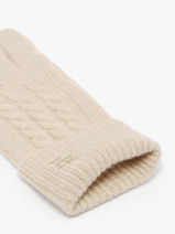 Handschoenen Etrier Beige sierra ESIE431U-vue-porte