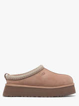 Slippers Tazz Ii Ugg Bruin women 1174471