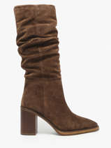 Laarzen Met Hak Uit Leder Alpe Bruin women 52191133