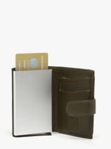 Portefeuille Caviar Leder Crinkles Groen caviar 14600-vue-porte