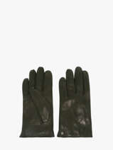 Handschoenen Isotoner Zwart women gloves 85264