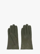Handschoenen Isotoner Groen women gloves 85264