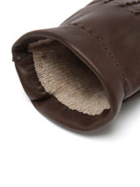 Handschoenen Omega Bruin men gloves L-vue-porte