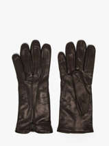 Handschoenen Omega Zwart women gloves L