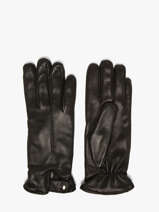 Handschoenen Omega Zwart women gloves L