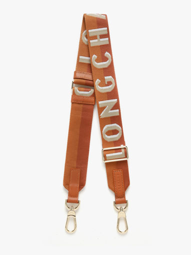 Longchamp Bandoulire ombre Juwelen Bruin