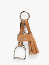 Tashengsel Altesse Etrier Bruin altesse EALT405M