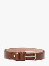 Riem Etrier Bruin bride EBRI715C