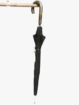 Paraplu Pierre cardin Zwart noire 81367