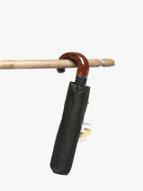 Paraplu Pierre cardin Zwart noire 83567