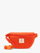 Heuptasje Zara Laurent david Oranje ld bags 8