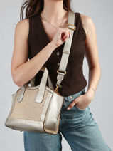 Handtas Rosalie Laurent david Goud ld bags 968-vue-porte