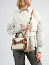 Handtassen Emily Le tanneur Beige emily TEMI1009-vue-porte