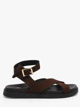 Sandalen Uit Leder Steve madden Bruin women 11004935