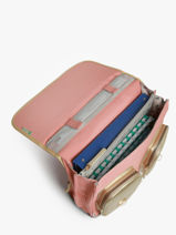 Boekentas 2 Compartimenten Cameleon Roze vintage fantasy PBVGCA38-vue-porte