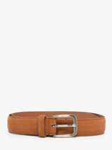 Riem Redskins Bruin belt TEDDY