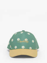 Pet Cameleon Groen vintage fantasy PBVGCAP1