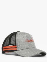 Pet Cameleon Grijs vintage urban PBVBCAP1-vue-porte