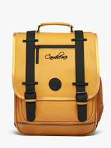 Rugzak 2 Compartimenten Cameleon Geel vintage north 28349-22