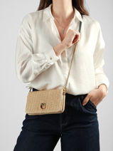 Cross Body Tas Love Bag Soft Raphia Pinko Beige love bag soft 6023A391-vue-porte