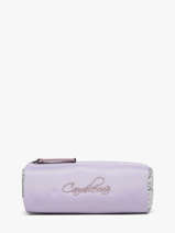 Pennenzak 1 Compartiment Cameleon Violet vintage fantasy STRO