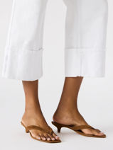 Open Sandalen Met Hak Steve madden Bruin women 11004731-vue-porte