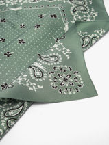 Longchamp Soie gots Sjaal Groen-vue-porte